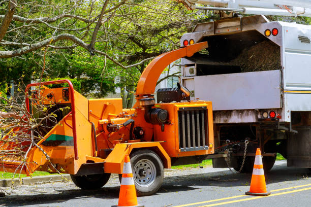 Best Firewood Processing and Delivery  in Brinckerhoff, NY